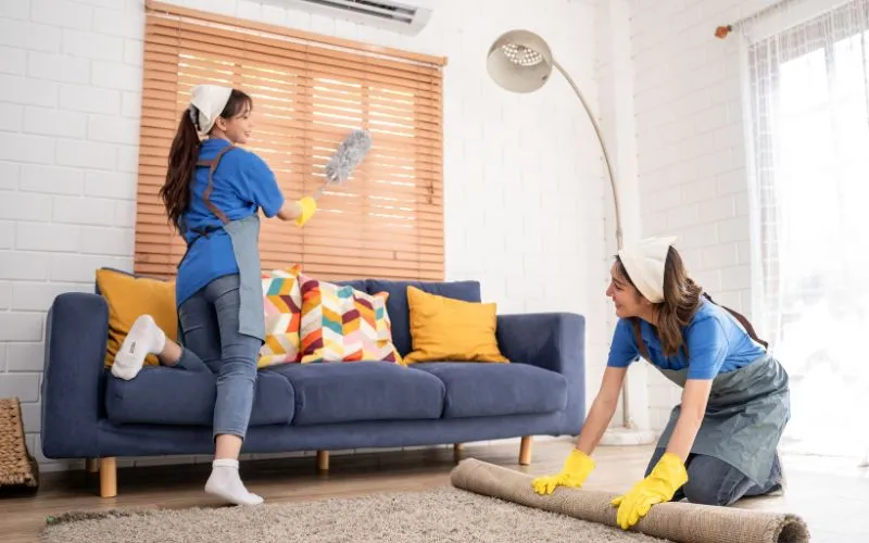 Domestic Cleaning