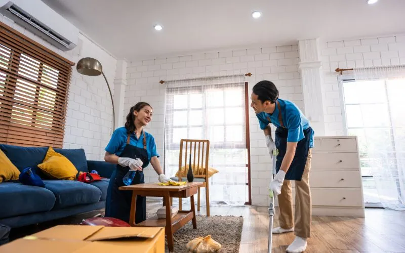 Domestic Cleaning
