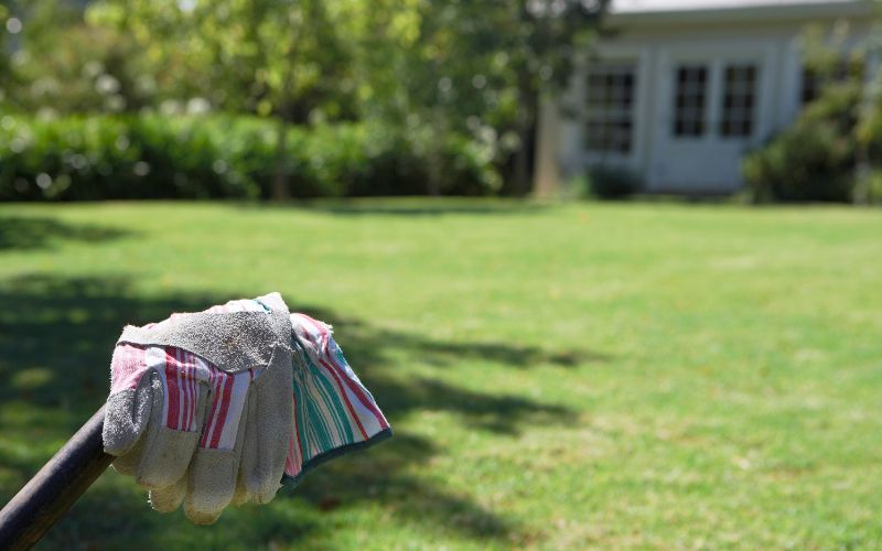 Best Cleaning Companies in Birmingham